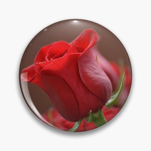 Item preview, ask me about my plants designed and sold by Trend Shopping.