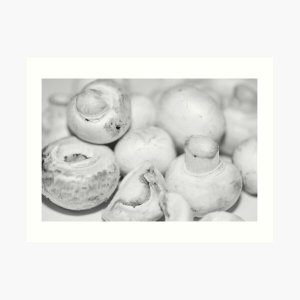 Mushrooms Art Print