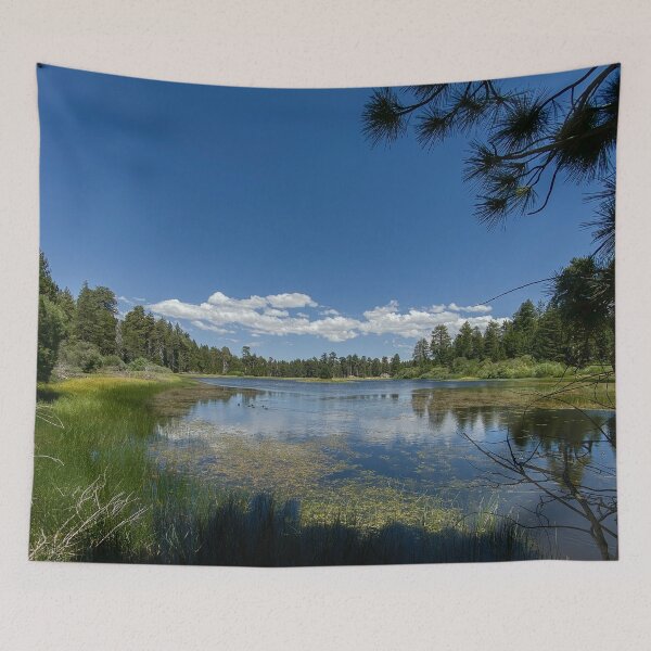 Item preview, Bluff Lake Reserve near Big Bear Lake California designed and sold by Trevor and Photos.