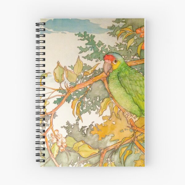 Aperçu de l'œuvre Aquarelle de perroquet amazone lored rouge créée et vendue par DesignCats.