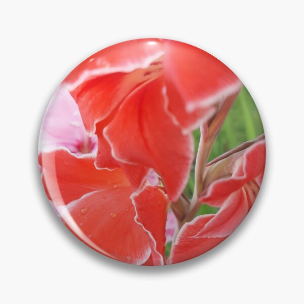 Item preview, Gladiolus  designed and sold by jdphotos.