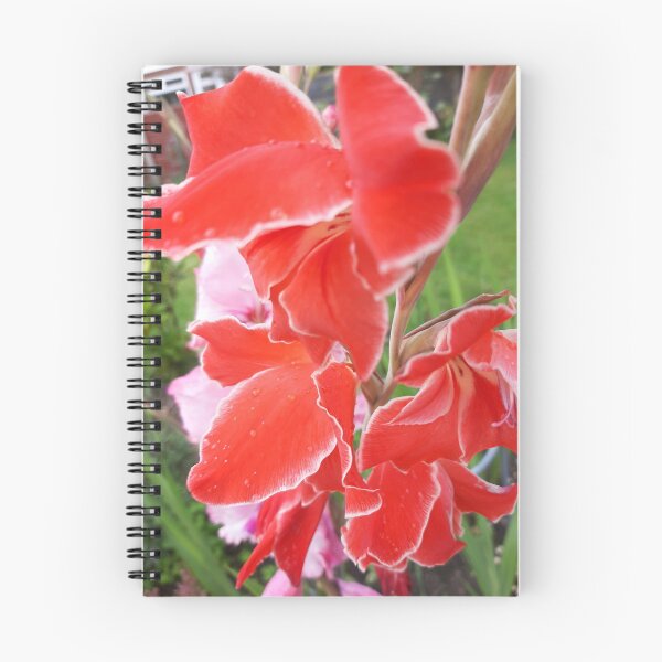Item preview, Gladiolus  designed and sold by jdphotos.