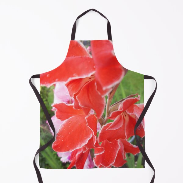 Item preview, Gladiolus designed and sold by jdphotos.