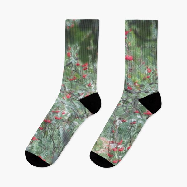 Item preview, Berry Branch Photograph from Cannock Chase designed and sold by Paulele.