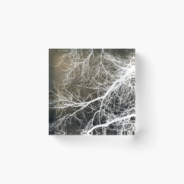 Item preview, Branches against the sky (negative) designed and sold by paulboizot.