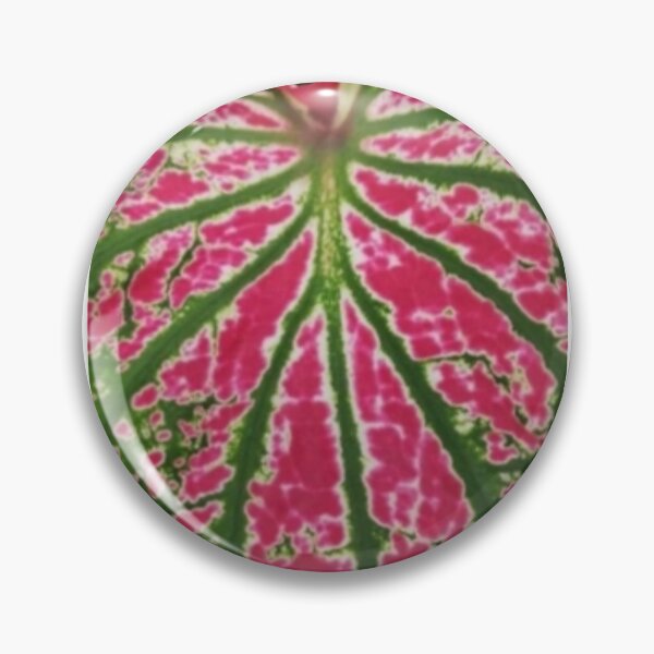Item preview, Caladium designed and sold by doodle3Dandy.