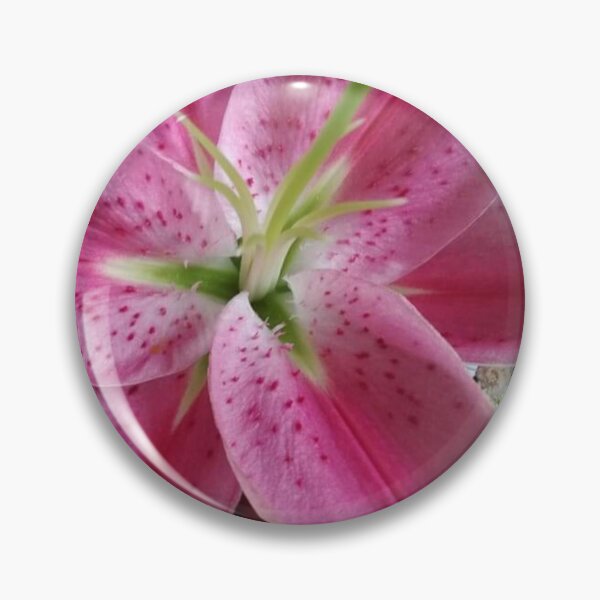 Item preview, Pink Stargazer Lily by Paulele designed and sold by Paulele.