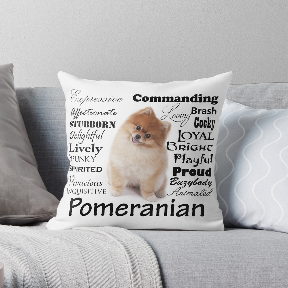 pomeranian pillow