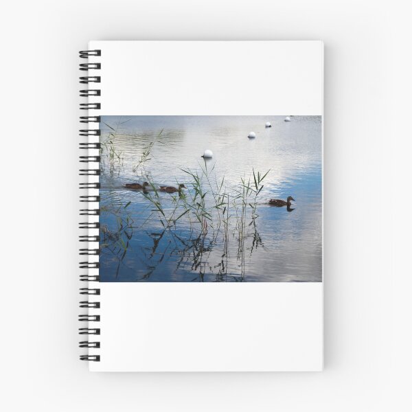 Item preview, Dabbling Ducks designed and sold by BritishYank.
