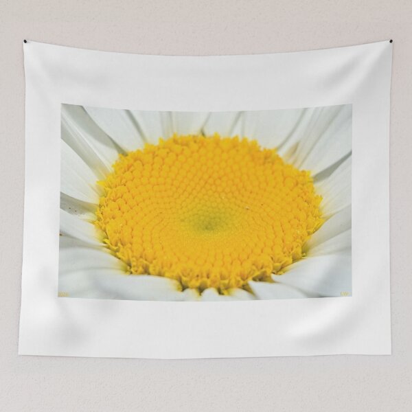 Item preview, Shasta Daisy Face designed and sold by LisaWootenPhoto.