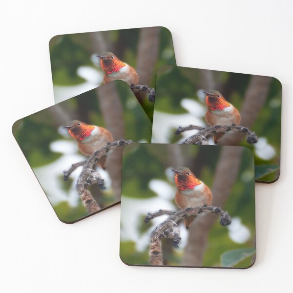 Item preview,  Rufous Hummingbird designed and sold by Banjoboy Art.