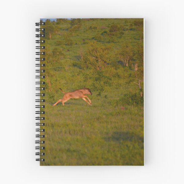 Item preview, African Wildebeast designed and sold by CncptulCaptures.