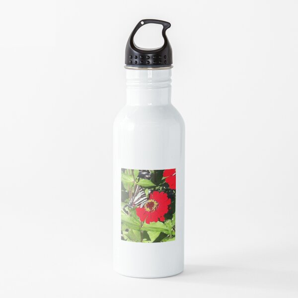 Butterfly on Gerber Daisy Water Bottle