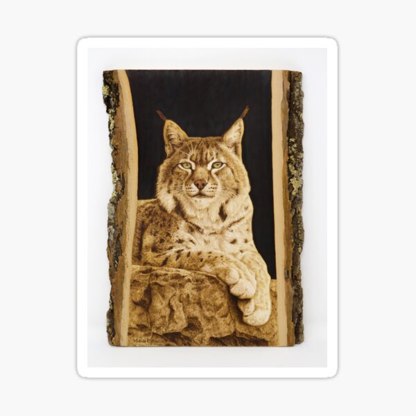 Bobcat woodburning by Minisa Robinson Sticker