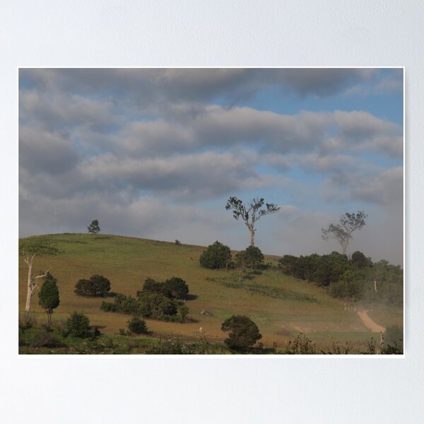 Item preview, Morning Bega designed and sold by Tom McDonnell.