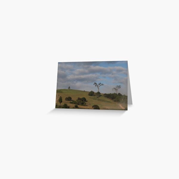 Item preview, Morning Bega designed and sold by Tom McDonnell.