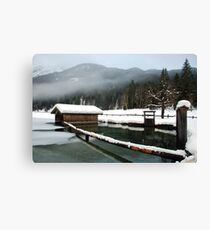 4 times H2O (water,snow,ice and mist) Canvas Print