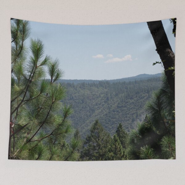 Item preview, Trees framing the mountains designed and sold by Anthony Cook.