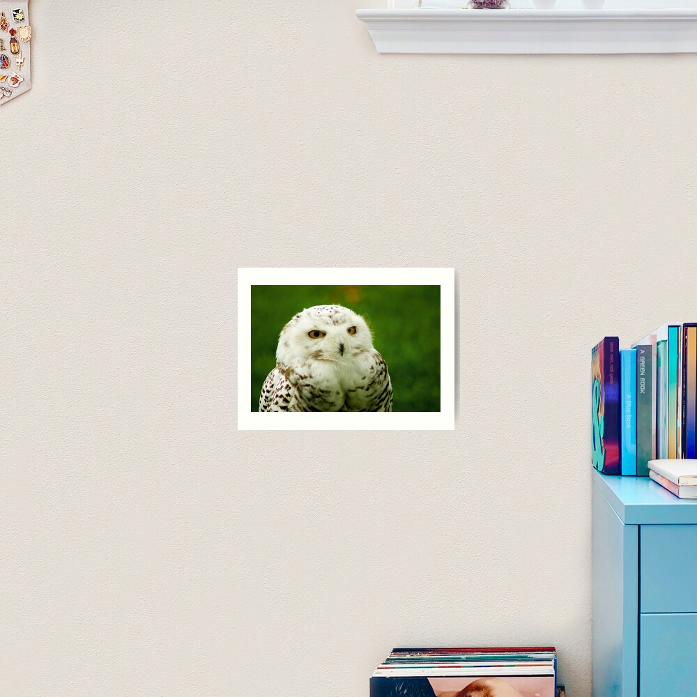 Item preview, Art Print designed and sold by steppeland.