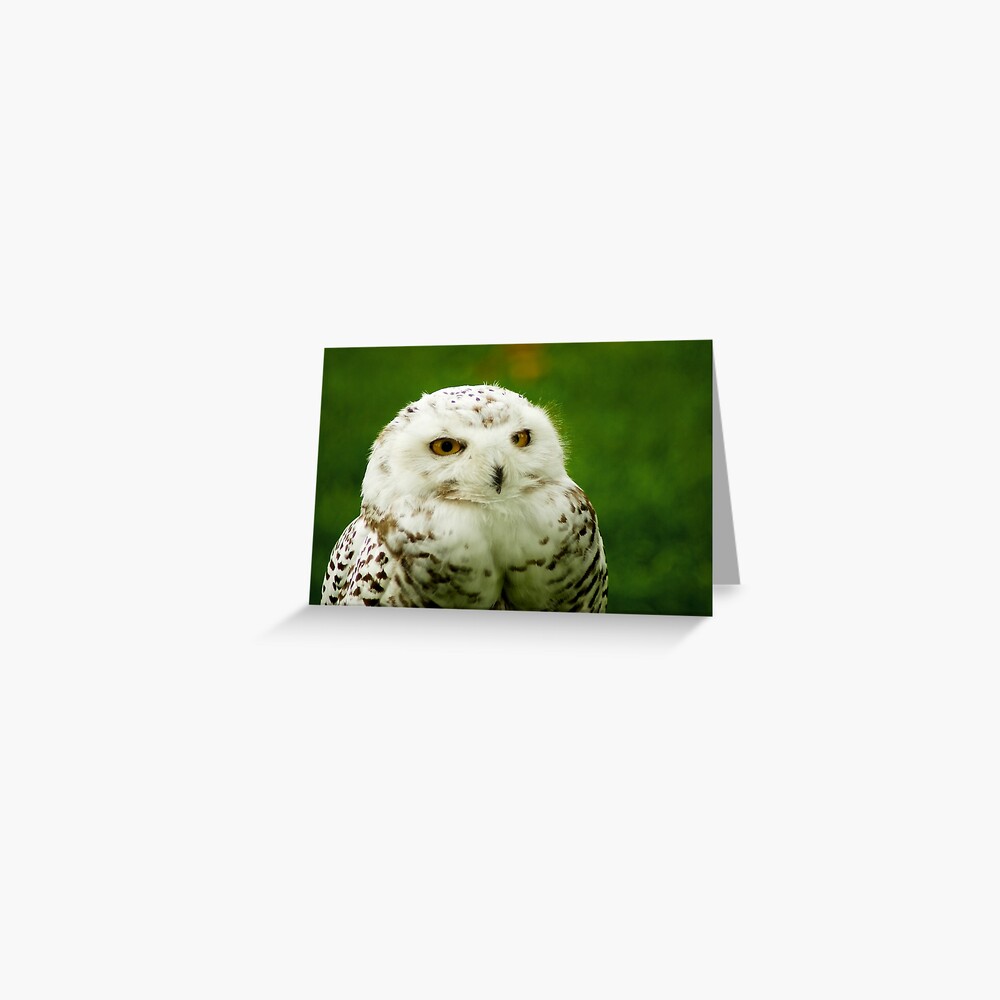 Item preview, Greeting Card designed and sold by steppeland.