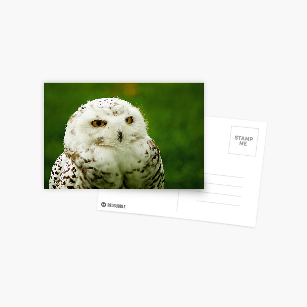 Item preview, Postcard designed and sold by steppeland.