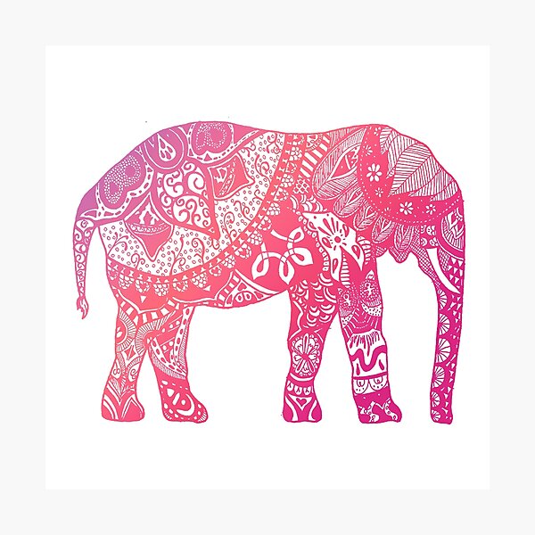 Pink Elephant Print