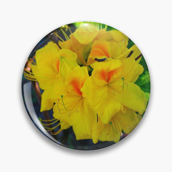 Item preview,  Yellow flower designed and sold by AnnaHomeMajesty.