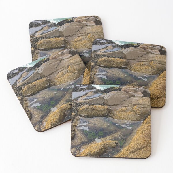 Item preview, Tide pool at Morro Rock designed and sold by Trevor and Photos.