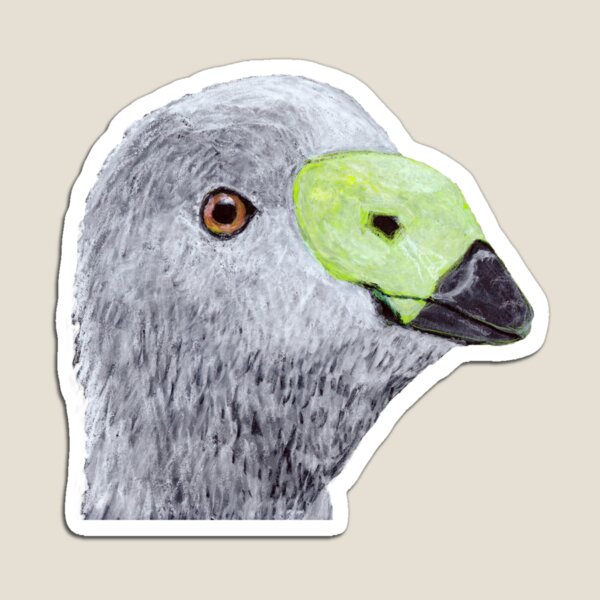 Cape Barren Goose (Cereopsis) Magnet