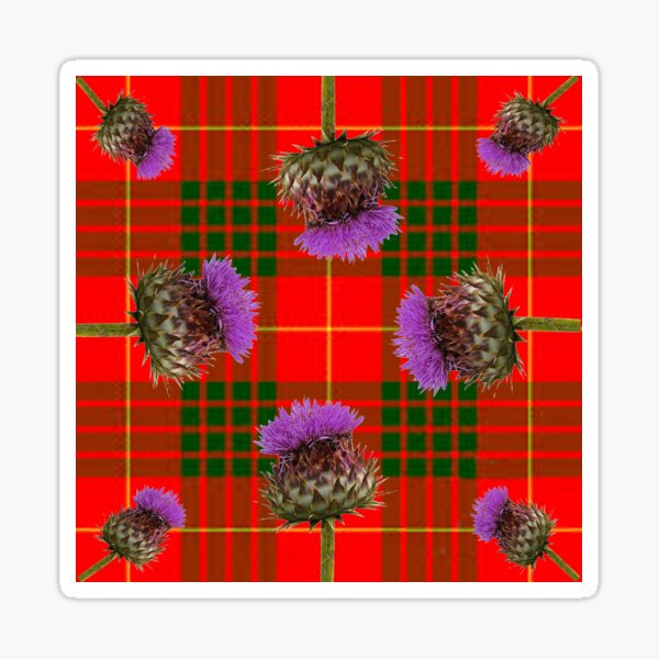 Thistle Tartan