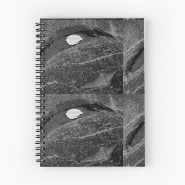 Item preview, Leaf & Crescent designed and sold by J Rier Photography.