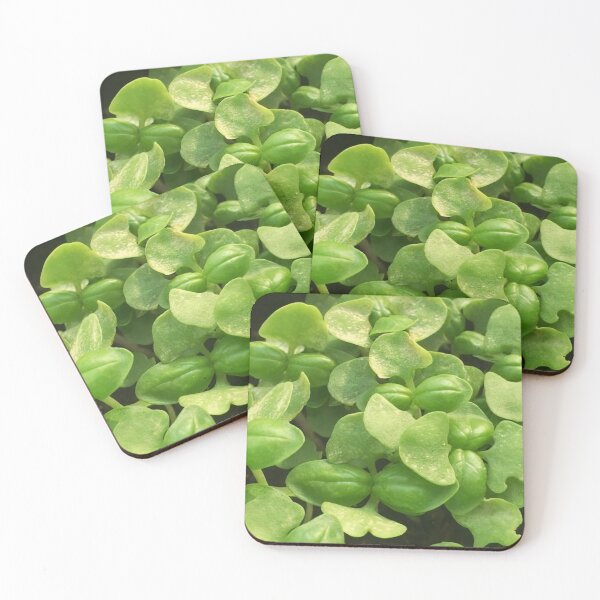 Item preview, Basil designed and sold by Luccianos.