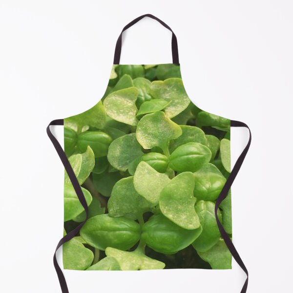 Item preview, Basil designed and sold by Luccianos.