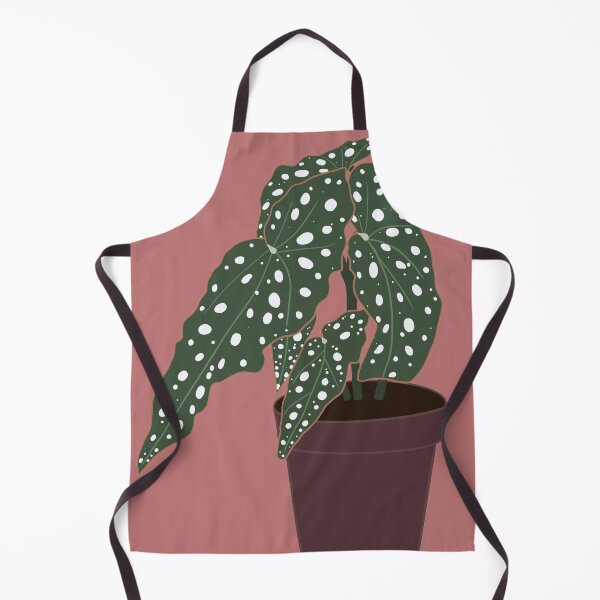 Item preview, Begonia Maculata Plant – Purple Pot designed and sold by RaquelsRoom.
