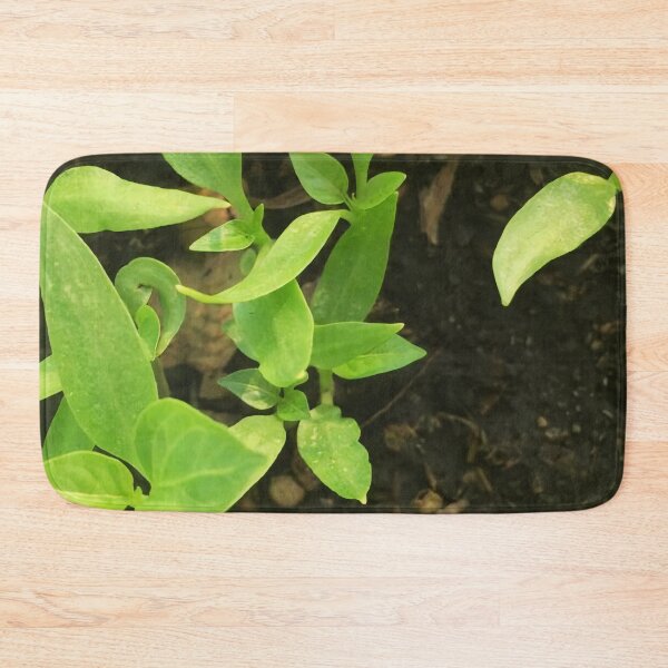Item preview, Peppers designed and sold by Luccianos.