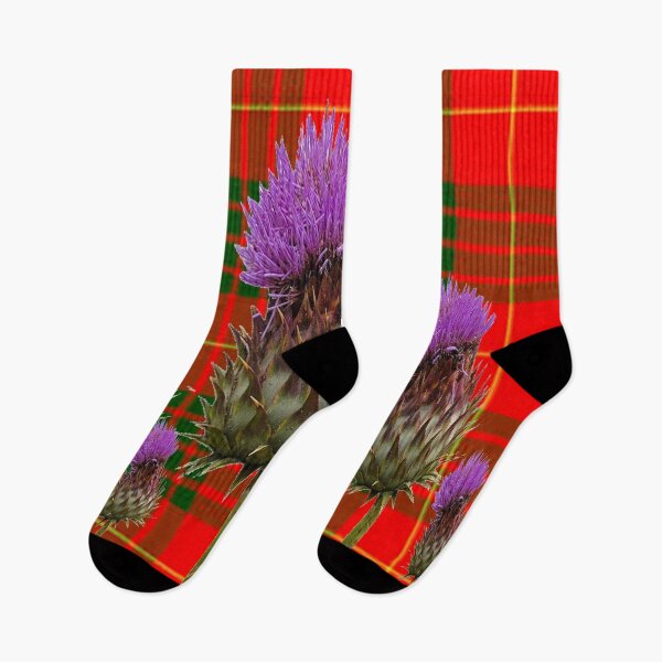 Item preview, ROW OF THISTLE ON SCOTTISH CAMERON TARTAN ART designed and sold by sharlesart.