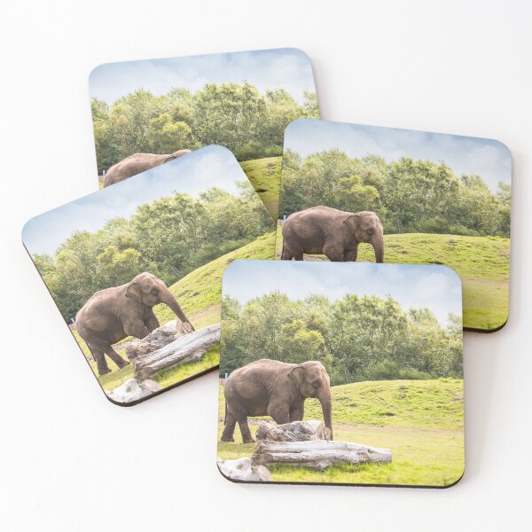 Item preview, Elephant in the Zoo designed and sold by nthphotographer.