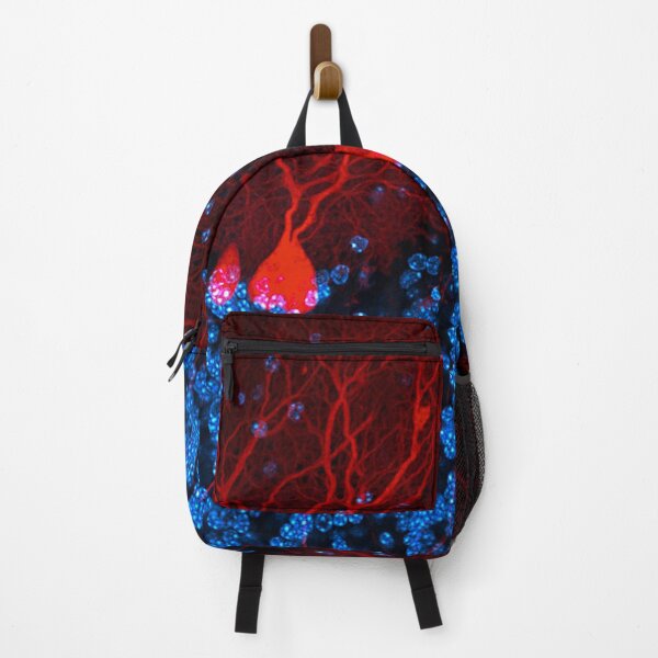 Item preview, Section of the cerebellum in the brain designed and sold by HyperBlur.
