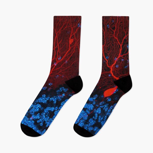 Item preview, Section of the cerebellum in the brain designed and sold by HyperBlur.