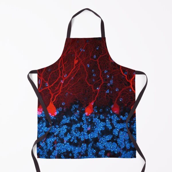 Item preview, Section of the cerebellum in the brain designed and sold by HyperBlur.