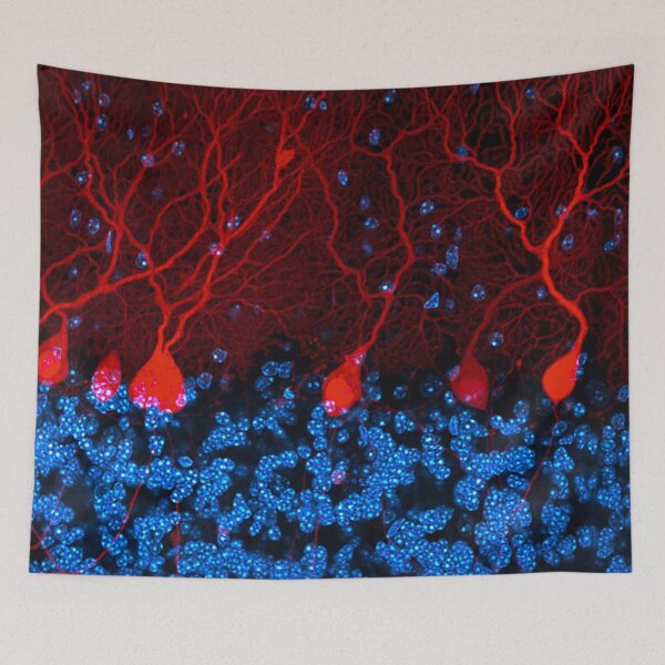 Item preview, Section of the cerebellum in the brain designed and sold by HyperBlur.
