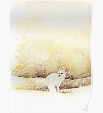 Arctic Fox in the Snow Poster