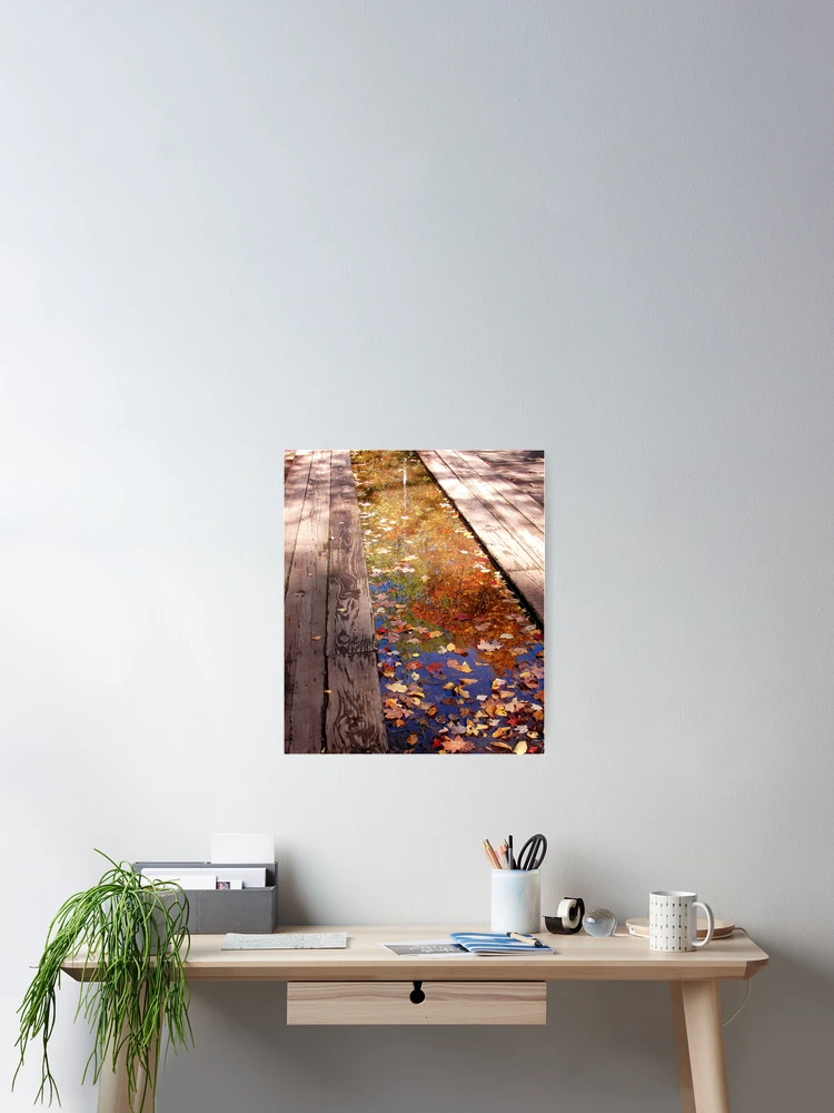Thumbnail 2 of 3, Poster, Reflections designed and sold by J Rier Photography.