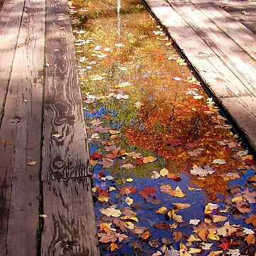 Artwork thumbnail, Reflections by J Rier Photography