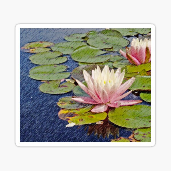 Lotus Sticker