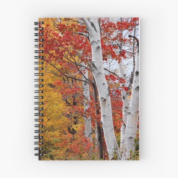 Item preview, Birches designed and sold by J Rier Photography.
