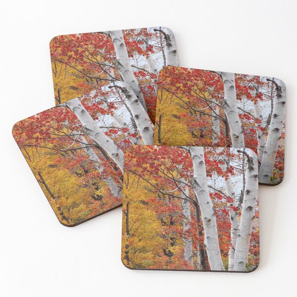 Item preview, Birches designed and sold by J Rier Photography.