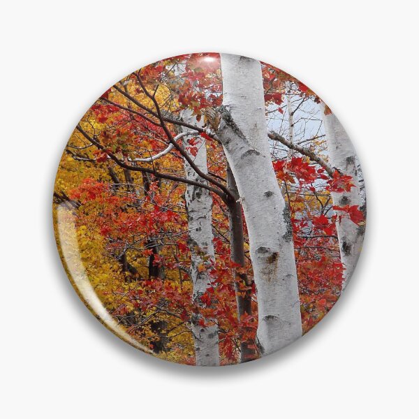 Artikelvorschau, Birches entworfen und verkauft von J Rier Photography.