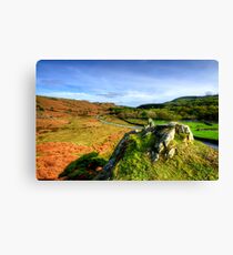 Duddon Valley, Lake District Canvas Print