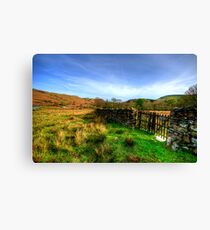 Duddon Valley, Lake District Canvas Print